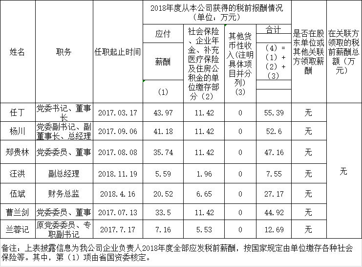 J9直营集团掌管人2018年度薪酬情况