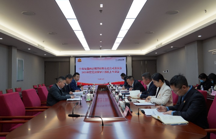J9直营集团集团党委书记、董事长任丁出席安逸酒店集团2022年度党员辅导干部民主生涯会