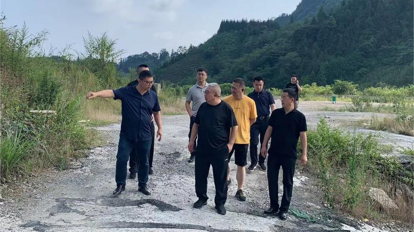 省J9直营集团集团辅导调研峨眉山太阳村村落振兴项目